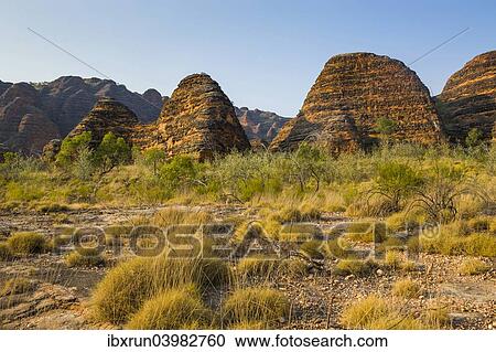 "Bungle Bungles, beehive-shaped sandstone towers, Purnululu National Park, UNESCO World Heritage Site, Eastern Kimberleys, Western Australia" View Large Photo Image Stock Image - "Bungle Bungles, beehive-shaped sandstone towers, Purnululu National Park, UNESCO World Heritage Site, Eastern Kimberleys, Western Australia". Fotosearch