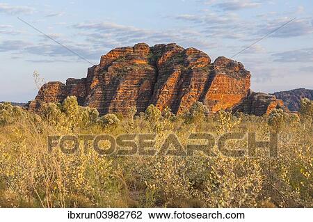 "Bungle Bungles, beehive-shaped sandstone towers, Purnululu National Park, UNESCO World Heritage Site, Eastern Kimberleys, Western Australia" View Large Photo Image Stock Image - "Bungle Bungles, beehive-shaped sandstone towers, Purnululu National Park, UNESCO World Heritage Site, Eastern Kimberleys, Western Australia". Fotosearch