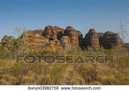 "Bungle Bungles, beehive-shaped sandstone towers, Purnululu National Park, UNESCO World Heritage Site, Eastern Kimberleys, Western Australia" View Large Photo Image Stock Photograph - "Bungle Bungles, beehive-shaped sandstone towers, Purnululu National Park, UNESCO World Heritage Site, Eastern Kimberleys, Western Australia". Fotosearch