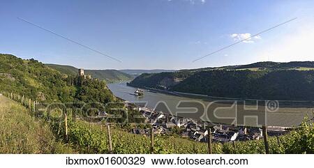 "Burg Gutenfels castle with vineyards, in the river Burg Pfalzgrafenstein castle, Kaub am Rhein, Rhineland-Palatinate, Germany, Europe" View Large Photo Image Stock Photo - "Burg Gutenfels castle with vineyards, in the river Burg Pfalzgrafenstein castle, Kaub am Rhein, Rhineland-Palatinate, Germany, Europe". Fotosearch