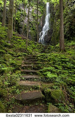 "Burgbach Waterfall in Schapbach, Black Forest, Baden-Wuerttemberg, Germany, Europe" View Large Photo Image Stock Image - "Burgbach Waterfall in Schapbach, Black Forest, Baden-Wuerttemberg, Germany, Europe". Fotosearch