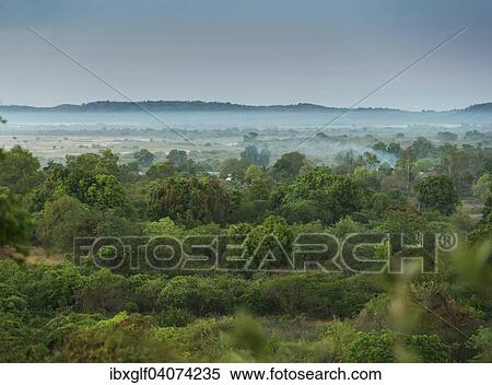Stock Photography - "Bush landscape with morning fog on the Manambolo in Bekopaka, Madagascar, Africa". Fotosearch