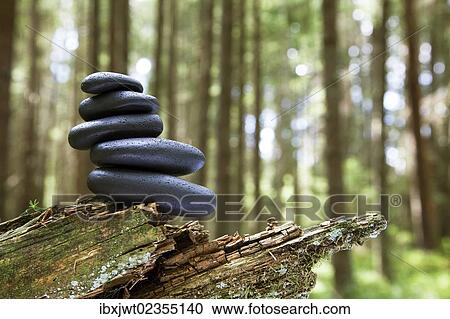 Stock Image - "Cairn, stack of basalt rocks, in the forest on a decaying root". Fotosearch
