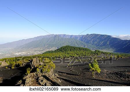 "Caldera de Taburiente National Park, La Palma, Canary Islands, Spain, Europe, PublicGround, Europe" View Large Photo Image Stock Photo - "Caldera de Taburiente National Park, La Palma, Canary Islands, Spain, Europe, PublicGround, Europe". Fotosearch