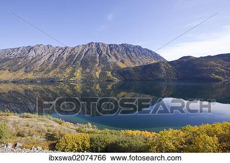 "Calm windy arm of Tagish Lake, reflections, Escarment Mountain, Tagish Highland behind, autumn, Indian Summer, leaves in fall colours, near South Klondike Highway, Yukon Territory, Canada, North America" View Large Photo Image Stock Photograph - "Calm windy arm of Tagish Lake, reflections, Escarment Mountain, Tagish Highland behind, autumn, Indian Summer, leaves in fall colours, near South Klondike Highway, Yukon Territory, Canada, North America". Fotosearch