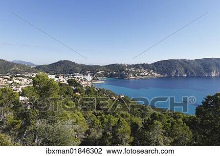 "Camp de Mar, Majorca, Mallorca, Balearic Islands, Spain, Europe" View Large Photo Image Stock Image - "Camp de Mar, Majorca, Mallorca, Balearic Islands, Spain, Europe". Fotosearch