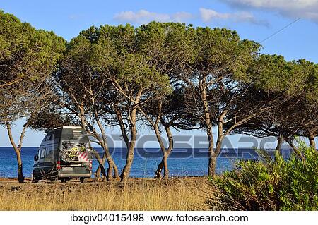 "Camper between pine trees on the beach, Costa Rei, Cagliari, Sardinia, Italy Province" View Large Photo Image Stock Photo - "Camper between pine trees on the beach, Costa Rei, Cagliari, Sardinia, Italy Province". Fotosearch