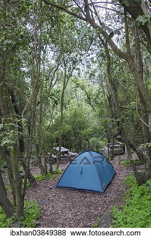 "Campground, La Campana National Park, Olmue, Valparaiso Region, Chile, South America" View Large Photo Image Stock Photo - "Campground, La Campana National Park, Olmue, Valparaiso Region, Chile, South America". Fotosearch