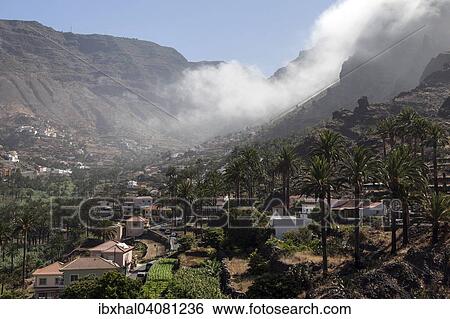 Stock Photograph - "Canary Island Date Palms (Phoenix canariensis), trade wind clouds and the villages in Valle Gran Rey, La Gomera, Canary Islands, Spain, Europe". Fotosearch