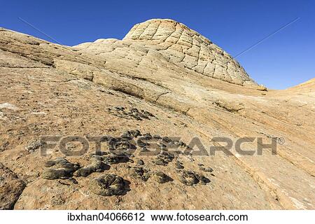 "Candy Cliffs, rock formations, Washington, Utah, United States, North America" View Large Photo Image Stock Image - "Candy Cliffs, rock formations, Washington, Utah, United States, North America". Fotosearch