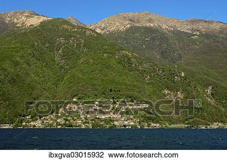 "Cannero Riviera on Lake Maggiore, Cannobio, Piedmont, Piemont, Italy, Europe" View Large Photo Image Stock Image - "Cannero Riviera on Lake Maggiore, Cannobio, Piedmont, Piemont, Italy, Europe". Fotosearch