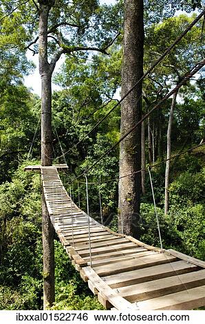 Stock Photograph - "Canopy walkway made of wood, Chiang Mai, Thailand, Asia". Fotosearch