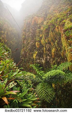 "Canyon on La Soufriere volcano, Saint-Claude, Arrondissement of Basse-Terre, Guadeloupe, France, North America" View Large Photo Image Stock Image - "Canyon on La Soufriere volcano, Saint-Claude, Arrondissement of Basse-Terre, Guadeloupe, France, North America". Fotosearch