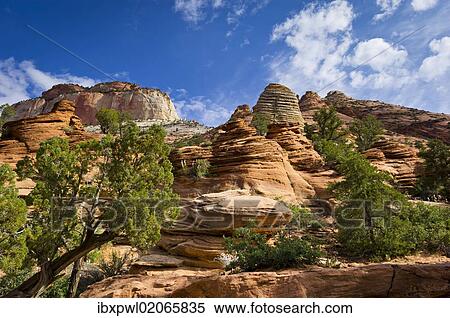 "Canyon Overlook Trail, Zion National Park, Utah, USA" View Large Photo Image Stock Photography - "Canyon Overlook Trail, Zion National Park, Utah, USA". Fotosearch