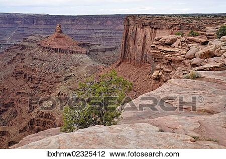 "Canyon Rim, Colorado River, Dead Horse Point State Park, Moab, Utah, USA" View Large Photo Image Stock Image - "Canyon Rim, Colorado River, Dead Horse Point State Park, Moab, Utah, USA". Fotosearch