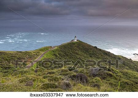 "Cape Reinga in the morning, Cape Reinga, Northland Region, New Zealand, Oceania" View Large Photo Image Stock Photo - "Cape Reinga in the morning, Cape Reinga, Northland Region, New Zealand, Oceania". Fotosearch