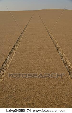 "Car tracks in the sand in the Nubian Desert in Dongola, Northern, Nubia, Sudan, Africa" View Large Photo Image Picture - "Car tracks in the sand in the Nubian Desert in Dongola, Northern, Nubia, Sudan, Africa". Fotosearch