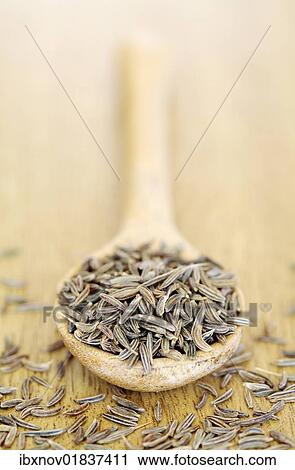 Caraway seeds in wooden spoon View Large Photo Image Stock Image - Caraway seeds in wooden spoon. Fotosearch