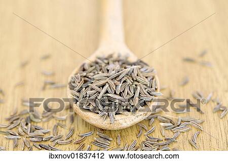 Stock Image - Caraway seeds in wooden spoon. Fotosearch