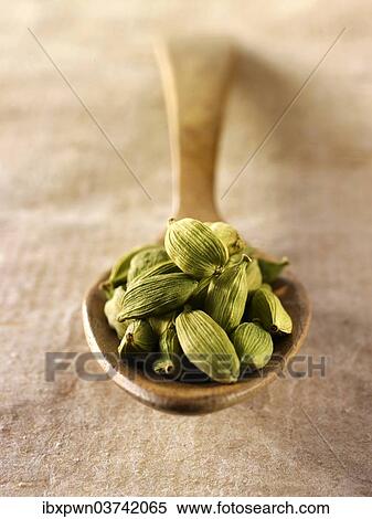Cardamom seeds View Large Photo Image Stock Photography - Cardamom seeds. Fotosearch
