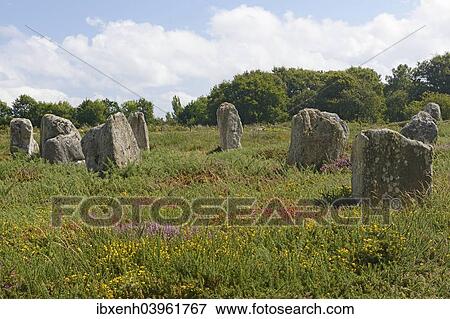 Stock Photo - "Carnac stones, menhirs near Carnac, Departement Morbihan, Brittany, France, Europe". Fotosearch