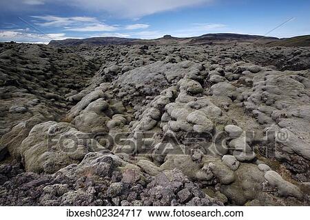 "Carpet of moss, southern Iceland, Iceland, Europe" View Large Photo Image Stock Photo - "Carpet of moss, southern Iceland, Iceland, Europe". Fotosearch