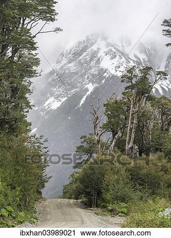 "Carretera Austral, gravel road through untouched nature, Cisnes, Aysen Province, Chile, South America" View Large Photo Image Stock Image - "Carretera Austral, gravel road through untouched nature, Cisnes, Aysen Province, Chile, South America". Fotosearch