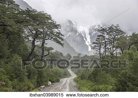 "Carretera Austral, gravel road through untouched nature, Cisnes, Aysen Province, Chile, South America" View Large Photo Image Stock Photography - "Carretera Austral, gravel road through untouched nature, Cisnes, Aysen Province, Chile, South America". Fotosearch