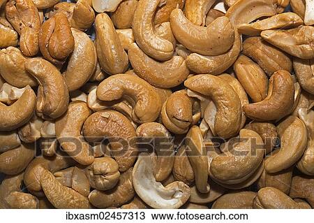 Cashew nuts View Large Photo Image Stock Image - Cashew nuts. Fotosearch