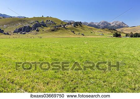 Stock Image - "Castle Hill Conservation Area, Canterbury Region, New Zealand, Oceania". Fotosearch