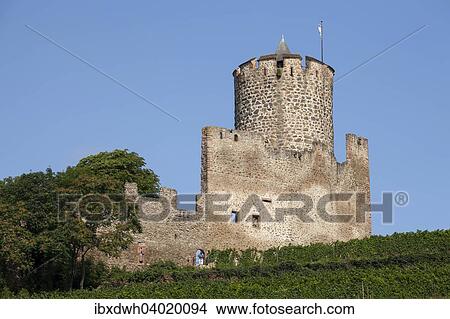 "Castle ruins Sentier du Chateau, Kaysersberg, Alsace, France, Europe" View Large Photo Image Picture - "Castle ruins Sentier du Chateau, Kaysersberg, Alsace, France, Europe". Fotosearch
