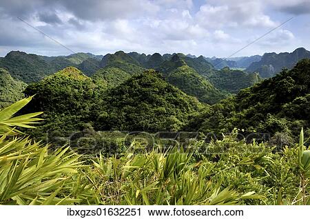 "Cat Ba National Park, on the way to the Ngu Lam summit, Kim Giao forest, UNESCO biosphere reserve, Vietnam, Southeast Asia, Asia" View Large Photo Image Stock Image - "Cat Ba National Park, on the way to the Ngu Lam summit, Kim Giao forest, UNESCO biosphere reserve, Vietnam, Southeast Asia, Asia". Fotosearch