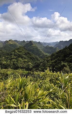 Stock Image - "Cat Ba National Park, on the way to the Ngu Lam summit, Kim Giao forest, UNESCO biosphere reserve, Vietnam, Southeast Asia, Asia". Fotosearch