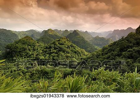 Stock Photo - "Cat Ba National Park, view from the Ngu Lam peak, Kim Giao forest, UNESCO Biosphere Reserve, Vietnam, Southeast Asia, Asia". Fotosearch