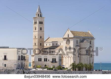 "Cathedral of Trani, 11th century, Trani, Bari, Apulia Province, Italy, Europe" View Large Photo Image Stock Photograph - "Cathedral of Trani, 11th century, Trani, Bari, Apulia Province, Italy, Europe". Fotosearch