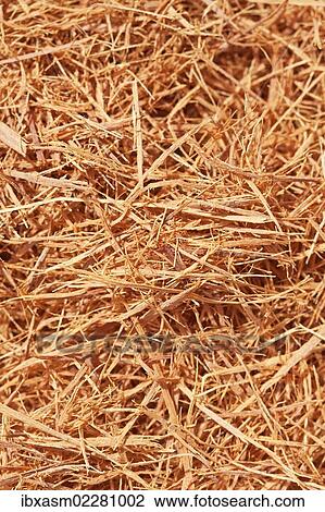 "Cat's claw tea (Uncaria tomentosa), component of drugs for cancer treatment, South American prevalence" View Large Photo Image Stock Image - "Cat's claw tea (Uncaria tomentosa), component of drugs for cancer treatment, South American prevalence". Fotosearch