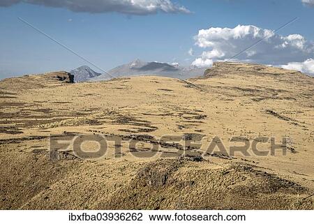 "Cattle herd, Simien Mountains National Park, Ras Dashen, Ethiopia, Africa" View Large Photo Image Stock Image - "Cattle herd, Simien Mountains National Park, Ras Dashen, Ethiopia, Africa". Fotosearch