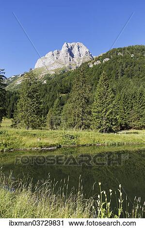 "Cellonsee lake with Cellon Mountain, Carnic Alps, seen from Ploecken Pass, Kotschach-Mauthen, Bezirk Hermagor, Karnten, Austria, Europe" View Large Photo Image Stock Image - "Cellonsee lake with Cellon Mountain, Carnic Alps, seen from Ploecken Pass, Kotschach-Mauthen, Bezirk Hermagor, Karnten, Austria, Europe". Fotosearch