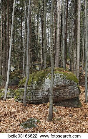 "Celtic place of worship at Druidenweg in the inner stone circle, Yspertal, Waldviertel, Lower Austria, Austria, Europe" View Large Photo Image Stock Image - "Celtic place of worship at Druidenweg in the inner stone circle, Yspertal, Waldviertel, Lower Austria, Austria, Europe". Fotosearch