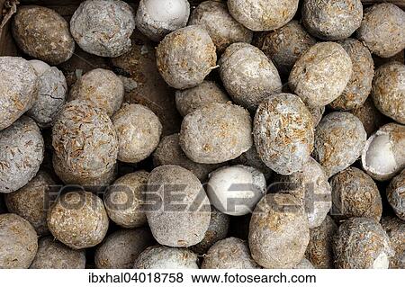 Stock Photo - "Centennial eggs, Myanmar, Asia". Fotosearch