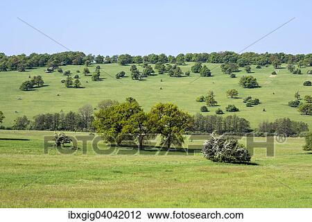 "Certoryje National Nature Reserve and Vojsice meadows, Bile Karpaty Protected Landscape Area, White Carpathian Mountains, South Moravia, Czech Republic, Europe" View Large Photo Image Stock Image - "Certoryje National Nature Reserve and Vojsice meadows, Bile Karpaty Protected Landscape Area, White Carpathian Mountains, South Moravia, Czech Republic, Europe". Fotosearch