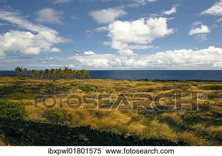 Stock Photography - "Chain of Craters Road, Hawai'i Volcanoes National Park, Big Island, Hawaii, USA". Fotosearch