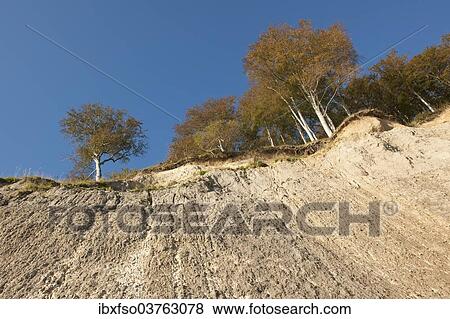 "Chalk cliffs and a beech forest in autumn, Jasmund National Park, Rugen, Mecklenburg-Western Pomerania, Germany, Europe" View Large Photo Image Stock Photo - "Chalk cliffs and a beech forest in autumn, Jasmund National Park, Rugen, Mecklenburg-Western Pomerania, Germany, Europe". Fotosearch