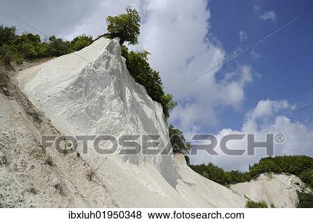 "Chalk cliffs, Jasmund National Park, Ruegen, Rugia, Mecklenburg-Western Pomerania, Germany, Europe" View Large Photo Image Stock Photo - "Chalk cliffs, Jasmund National Park, Ruegen, Rugia, Mecklenburg-Western Pomerania, Germany, Europe". Fotosearch