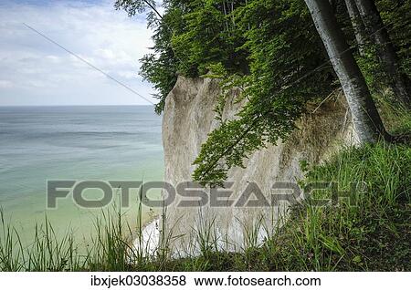 "Chalk cliffs on the coast, Rugen island, Rugen, Mecklenburg-Western Pomerania, Germany, Europe" View Large Photo Image Stock Photo - "Chalk cliffs on the coast, Rugen island, Rugen, Mecklenburg-Western Pomerania, Germany, Europe". Fotosearch
