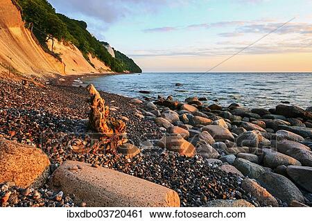 "Chalk cliffs with the Koenigsstuhl cliff in the early morning, Sassnitz, Rugen, Mecklenburg-Western Pomerania, Germany, Europe" View Large Photo Image Stock Image - "Chalk cliffs with the Koenigsstuhl cliff in the early morning, Sassnitz, Rugen, Mecklenburg-Western Pomerania, Germany, Europe". Fotosearch