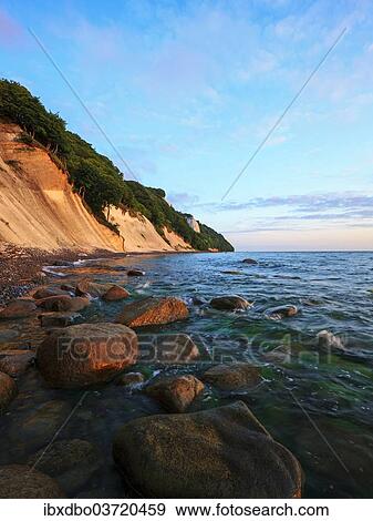 "Chalk cliffs with the Koenigsstuhl cliff in the early morning, Sassnitz, Rugen, Mecklenburg-Western Pomerania, Germany, Europe" View Large Photo Image Stock Photo - "Chalk cliffs with the Koenigsstuhl cliff in the early morning, Sassnitz, Rugen, Mecklenburg-Western Pomerania, Germany, Europe". Fotosearch