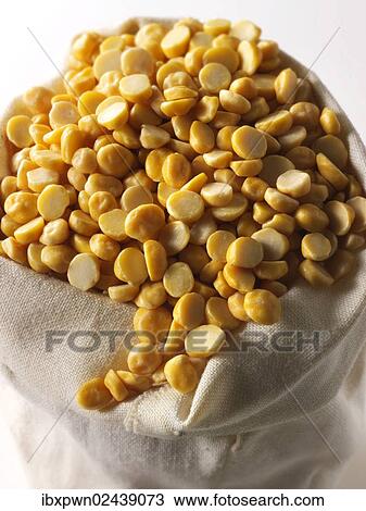 Chana dhal beans View Large Photo Image Stock Image - Chana dhal beans. Fotosearch