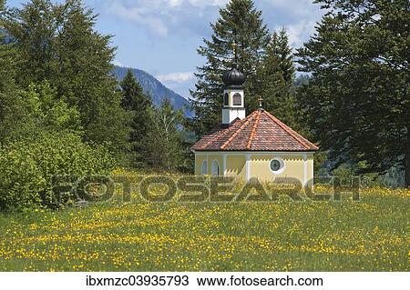 "Chapel """"Maria Rast auf den Buckelwiesen"""", with a flowering spring meadow, Krun, Bavaria, Germany, Europe" View Large Photo Image Stock Image - "Chapel """"Maria Rast auf den Buckelwiesen"""", with a flowering spring meadow, Krun, Bavaria, Germany, Europe". Fotosearch