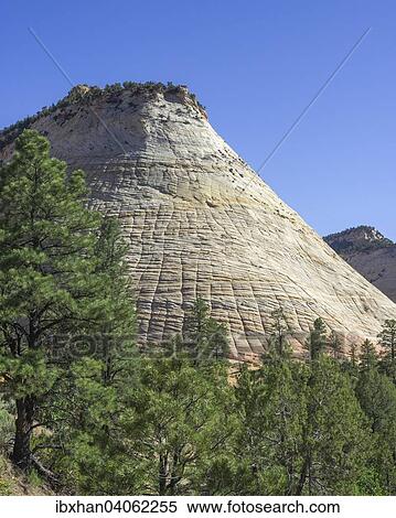 "Checkerboard Mesa, Navajo sandstone, Zion National Park, Springdale, Utah, United States, North America" View Large Photo Image Stock Photography - "Checkerboard Mesa, Navajo sandstone, Zion National Park, Springdale, Utah, United States, North America". Fotosearch